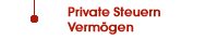 Private Steuern