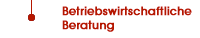 BWL-Beratung